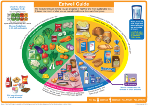Eatwell-Guide-300x213