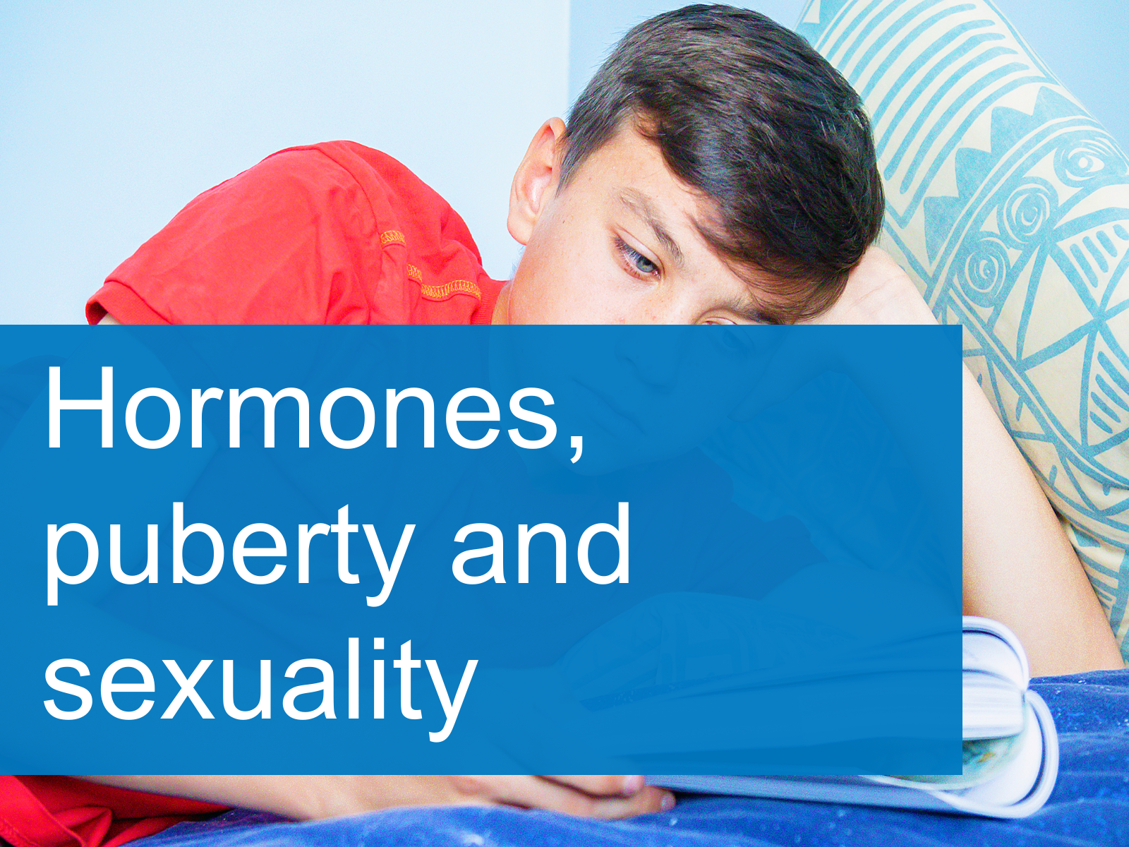 Hormones, puberty and sexuality