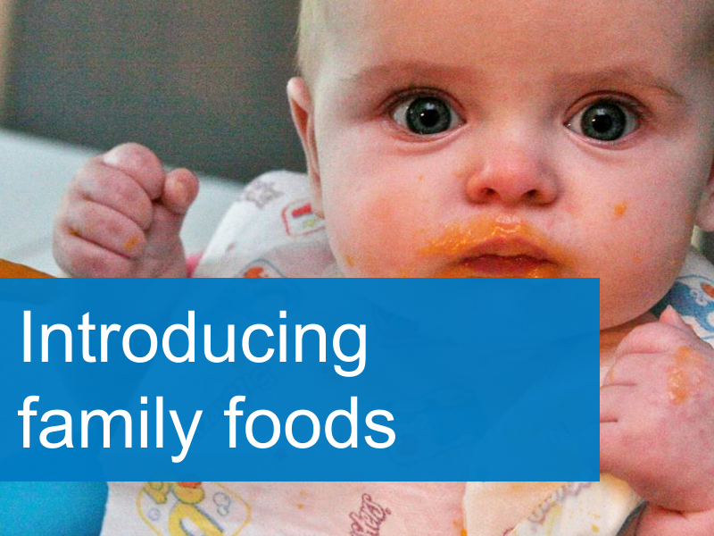 introducing family foods