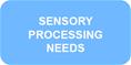 Sensory Processing Needs