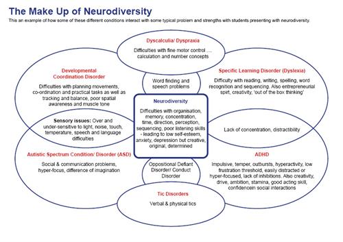 The Make Up of Neurodiversity