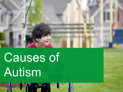 006 - Causes of Autism