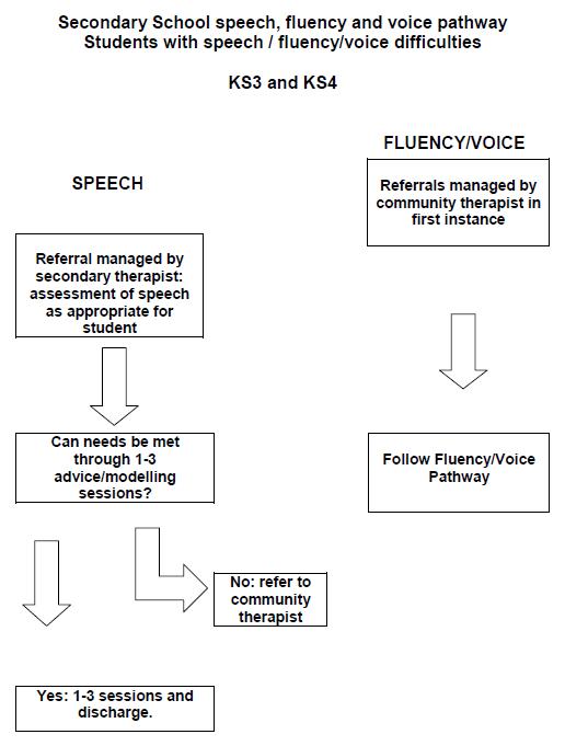 Speech, Fluency and Voice Difficulties KS3 and KS4